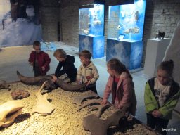 Október a Zengőerdőben