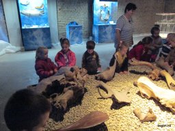 Október a Zengőerdőben