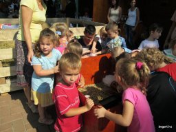 Zengőerdő csoport - Séták