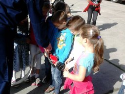 TŰZOLTÓSÁGON A CSODAVÁR