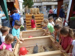 A  közfoglalkoztatottak napján 