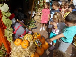 A  közfoglalkoztatottak napján 