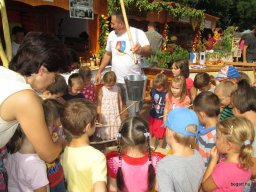 A  közfoglalkoztatottak napján 