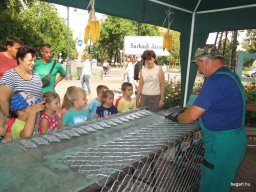 A  közfoglalkoztatottak napján 