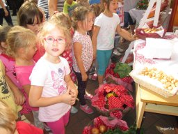 A  közfoglalkoztatottak napján 