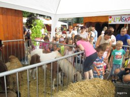 A  közfoglalkoztatottak napján 