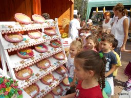 A  közfoglalkoztatottak napján 