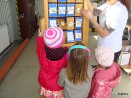 Víz világnapja - Csodavár