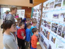 Víz világnapja - Csodavár