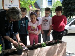 Föld Napja az Oviban