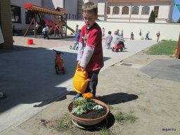 Föld Napja az Oviban