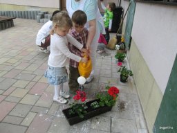 Föld Napja az Oviban