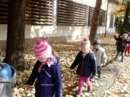 A Csodavár csoportos gyerekek őszi leveleket gyűjtöttek egy szép, napsütéses októberi napon