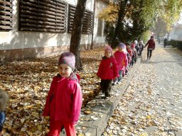 A Csodavár csoportos gyerekek őszi leveleket gyűjtöttek egy szép, napsütéses októberi napon