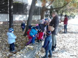 A Csodavár csoportos gyerekek őszi leveleket gyűjtöttek egy szép, napsütéses októberi napon