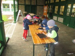 Októberi programok a Zengőerdő csoportban