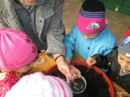 Októberi programok a Zengőerdő csoportban