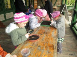 Októberi programok a Zengőerdő csoportban