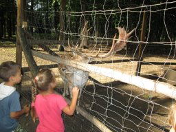 Pósteleki kirándulás