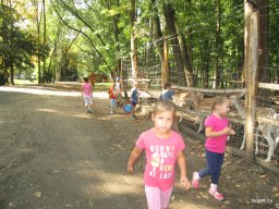 Pósteleki kirándulás