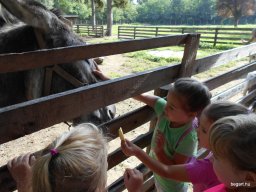 Pósteleki kirándulás