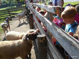 Pósteleki kirándulás