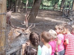 Pósteleki kirándulás