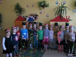 Kikelet hava a Zengőerdőben