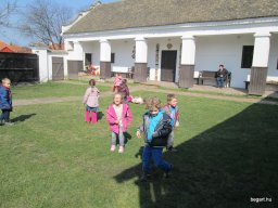 Kikelet hava a Zengőerdőben