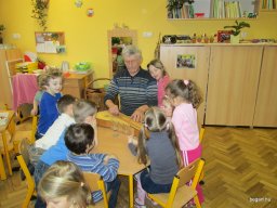 Kikelet hava a Zengőerdőben