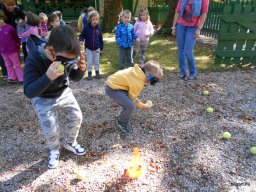 Autómentes nap a ligetben