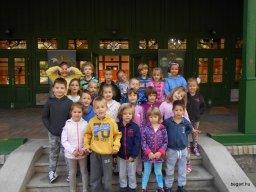 Autómentes nap a ligetben