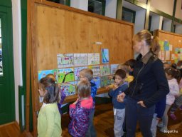 Autómentes nap a ligetben