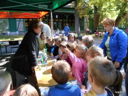 Autómentes nap a ligetben