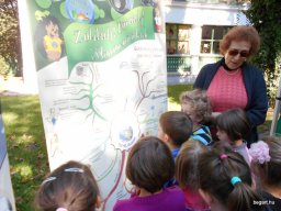 Autómentes nap a ligetben