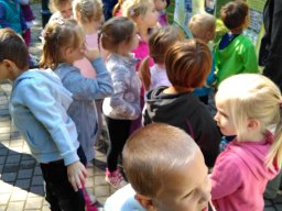 Autómentes nap a ligetben