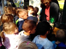 Autómentes nap a ligetben