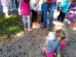 Autómentes nap a ligetben