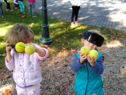 Autómentes nap a ligetben
