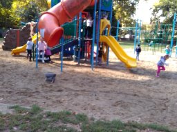 Autómentes nap a ligetben