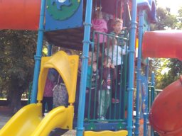 Autómentes nap a ligetben