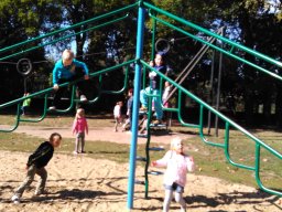 Autómentes nap a ligetben