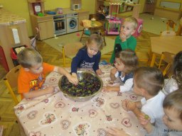 hagyományok zengőerdő