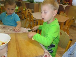 hagyományok zengőerdő