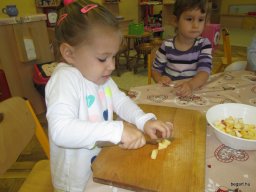 hagyományok zengőerdő