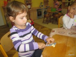 hagyományok zengőerdő