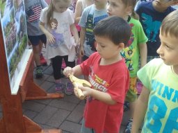 Közfoglalkoztatottak napja