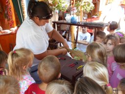 Közfoglalkoztatottak napja