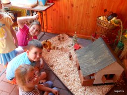 Közfoglalkoztatottak napja