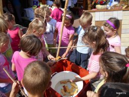 Közfoglalkoztatottak napja